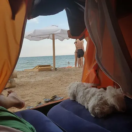 Kamp alanı Oasis Camping Vama Veche